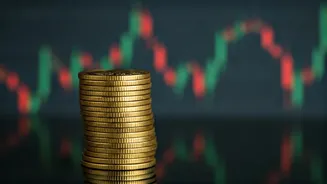 Unveiling Overpriced Global ETFs: Risks for Indian Investors