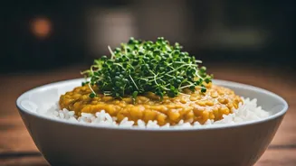 Sprinkle Fresh Microgreens On Your Dal Chawal For Extra Health