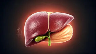 Beyond the Scale: How Stubborn Belly Fat and Daily Habits Threaten Your Liver