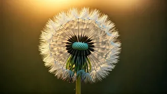 10 Enchanting First & Middle Names for Your Little Prince: A Guide to Meaningful Choices