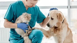 World Health Day 2026: Why pets need regular health screening just like humans