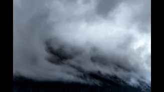 IMD Issues Alerts as Cold Wave and Dense Fog Intensify in North India