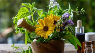 Nasal Congestion Home Remedies: How to Approach Nasal Comfort without Miracle Claims