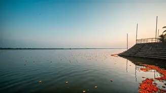 Mahamagha Mahotsavam: Kerala High Court Hears Plea on Halt