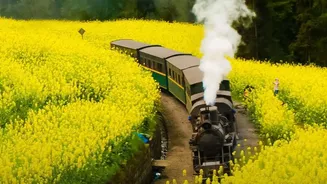 How Heritage Rail Journeys Modernise Tourism Through Budget Luxury Train Packages
