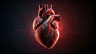 Heart Attacks in Your 30s: Understanding the Alarming Rise in Young Indians