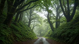 This Is Monsoon's Most Relaxing Escape