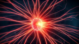 Heatwaves and Your Nervous System: Expert Insights on Migraines and Chronic Pain