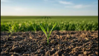 Farmers Need Localised Forecasts That Help With Crop And Input Planning