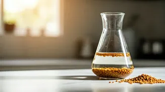Regulate Midday Energy Crashes Via Soaked Fenugreek Water Habits