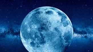 NASA Study Separates Microbial Survival From Growth in Extreme Lunar Environments