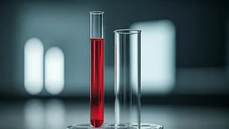 Why vegetarian youth need B12 testing