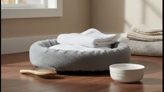 Monsoon Pet Care Works Best With Clean Gear And Dry Corners