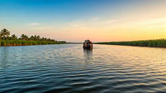 Related Stories banner