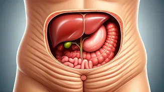 Fat Loss vs. Weight Loss: Unveiling the Secrets of Insulin Sensitivity