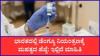 ಮೊದಲ ಡೆಂಗ್ಯೂ ಲಸಿಕೆಗೆ ಭಾರತ ಅನುಮೋದನೆ: ವ್ಯಾಕ್ಸಿನ್ ಪರಿಣಾಮಕಾರಿತ್ವ, ಬೆಲೆ ಬಗ್ಗೆ ಇಲ್ಲಿದೆ ಮಾಹಿತಿ