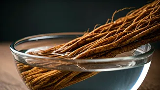 Soak Vetiver Roots Overnight To Beat Extreme Summer Heatwaves