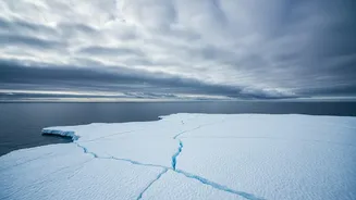 The Science Behind The New Arctic Cloud-Particle Study: Sea Ice Effects On Cloud Formation