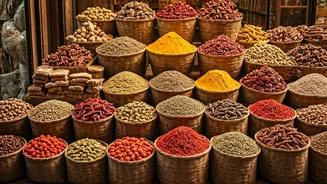 February Fun: Things to Do in India