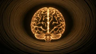 Staying Up Late: How It Affects Your Mind
