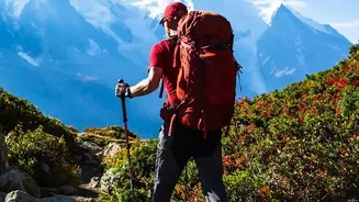 Canadian Rockies wildlife safety guide