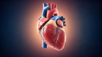 Boost Your Lifespan: Simple Habits That Add Years