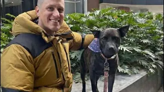 How an mRNA vaccine helped this dog beat cancer