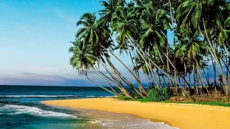Five Days In Sri Lanka: An Affordable Backpacking Guide From Kandy To Mirissa Beaches