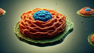 Beyond the Scale: The Evolving Conversation Around Weight and Well-being