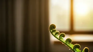 Related Stories banner