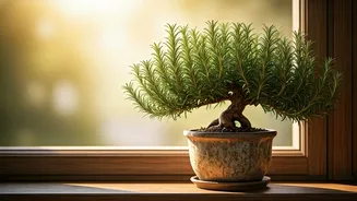 Cultivate Aromatic Rosemary Bonsai: Your Guide to Small-Space Greenery