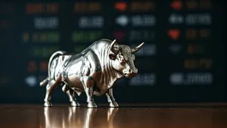 Market Watch: Analyzing the Indian Stock Market's Dynamics