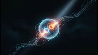 Spaceflight Stressors Can Affect Cellular Energy Before Performance Drops Become Obvious