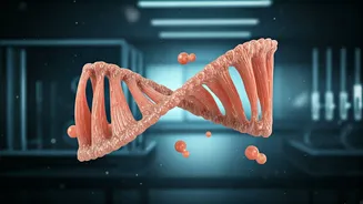 Collagen's Real Role: Beyond Wrinkle Reversal – What It Truly Does for Your Skin