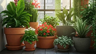 Your Balcony Deserves A Green Upgrade