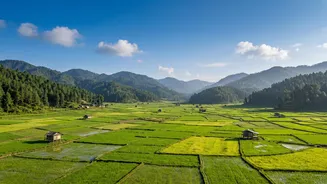 Workation in Ziro: Work amid music