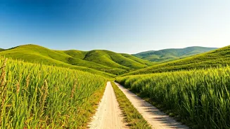 Exploring the World: Discovering India's Hidden Gems