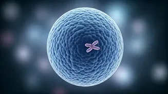 Understanding Down Syndrome: Causes, Characteristics, and Lifespan