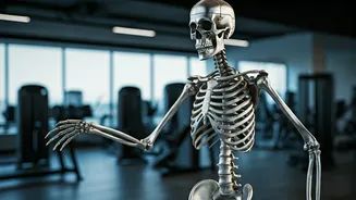 Mobility After 30: 5 Exercises for Stronger Bones & Better Health