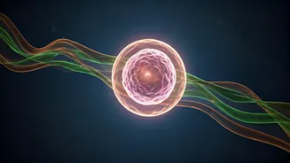 Carb Confusion: Why Your Body Needs Them to Burn Fat Efficiently