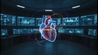 How Bioastronautics Fellows Map Out Human Cardiovascular Performance Indicators During Simulated Reentries