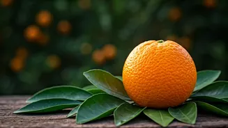 Related Stories banner