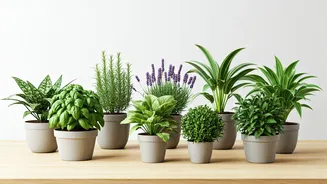 8 Plants to Bring Calm, Luck, & Positive Energy