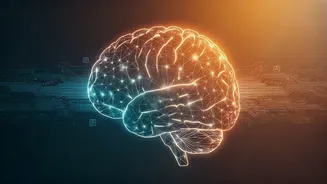 AI Educational Software Changes Speeds Based On Simple Quiz Answers
