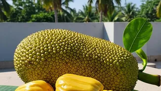 A Ninety-Year-Old Club Recipe Makes Jackfruit the Star: Parsi Kathal Recipe