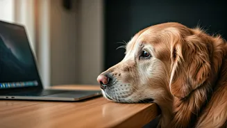 Adopt Senior Shelter Animals For Busy Remote Work Lifestyles