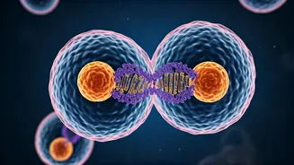 Decoding India's Top Engineering Colleges