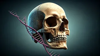 Unearthing Our Past: How Ancient DNA Shapes Our Modern Health and Evolution