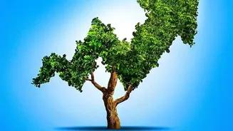 Why Small Consistent Investments Early In Life Outshine Heavy Wealth Accumulation Attempts Later