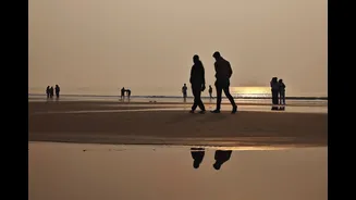 Best Beaches in India for Winter Travel